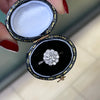 A round brilliant cut diamond ring with smaller round brilliant cut diamonds set in a daisy cluster design, mounted in a platinum band in its case