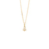 18 Carat Yellow Gold and Diamond Solitaire Pendant Necklace