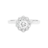 A round brilliant cut diamond ring with smaller round brilliant cut diamonds set in a daisy cluster design, mounted in a platinum band.