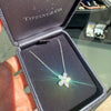 Tiffany & Co Victoria Mixed Diamond Cluster Platinum Pendant Necklace
