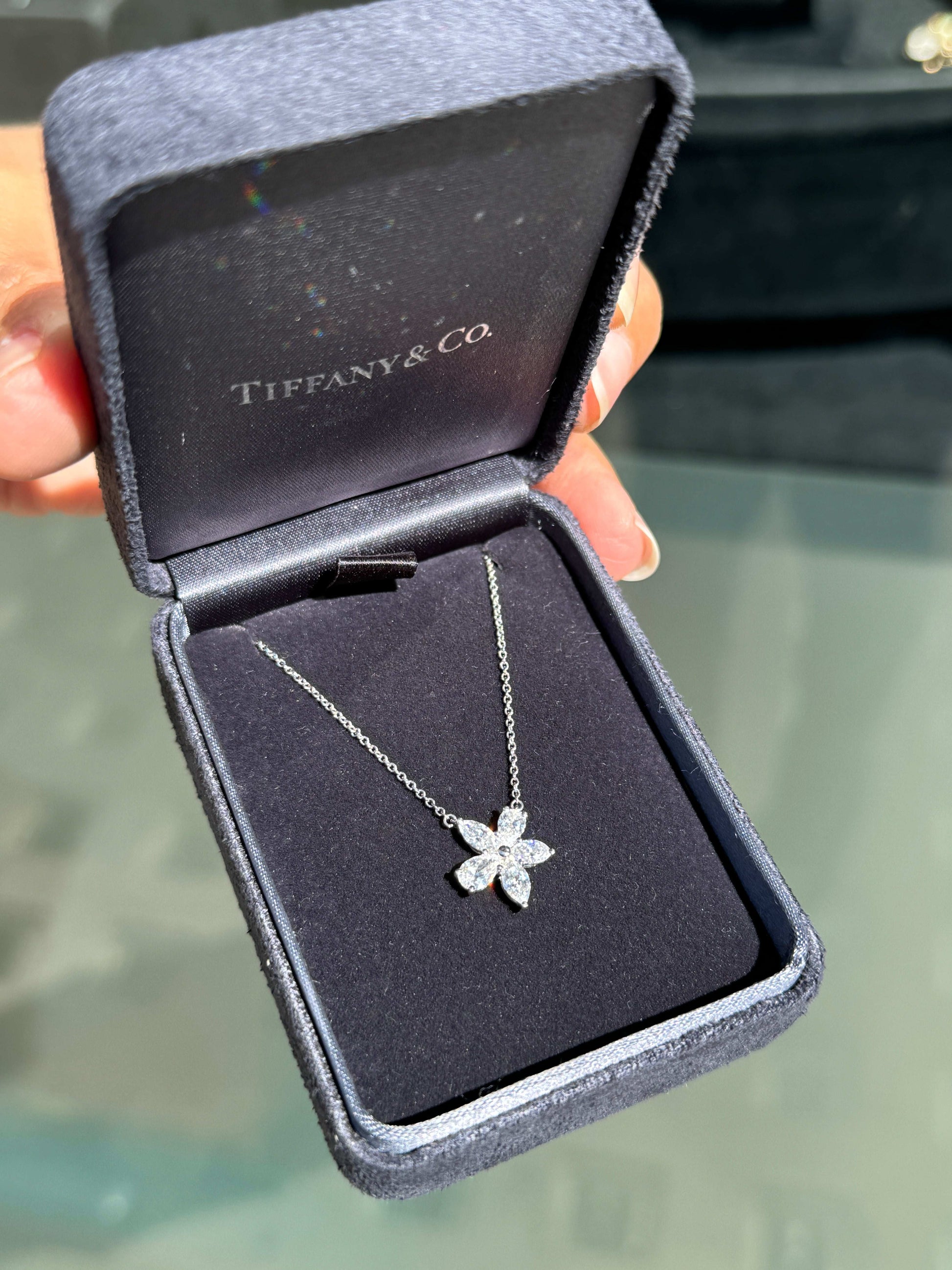 Tiffany & Co Victoria Mixed Diamond Cluster Platinum Pendant Necklace