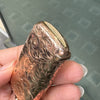 Antique Engraved Vesta Case &  Sovereign Coin Holder in 9 Carat Rose Gold, 1900