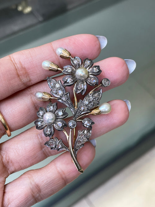 Antique Natural Pearl and Rose Cut Diamond Silver on Gold Floral brooch, c1870's
