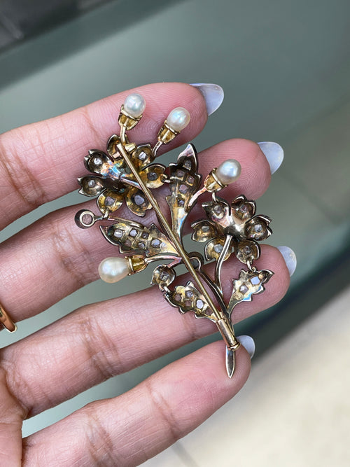 Antique Natural Pearl and Rose Cut Diamond Silver on Gold Floral brooch, c1870's