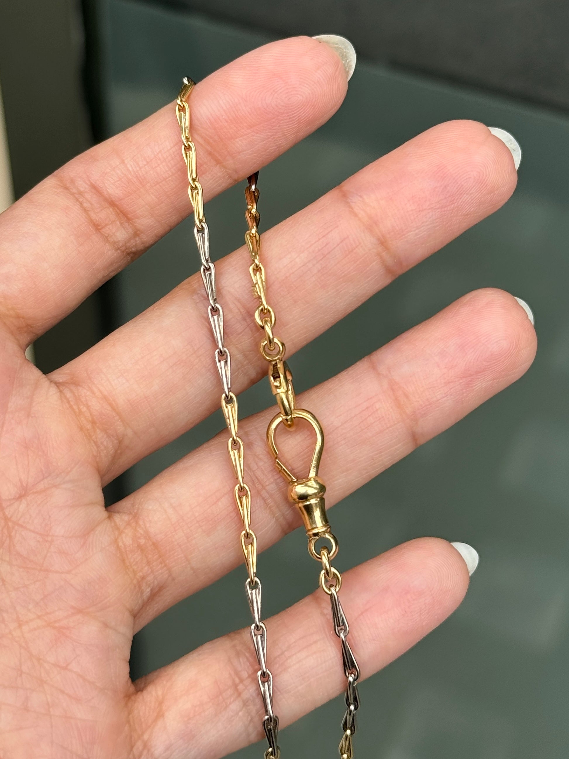 1920 albert chain detailed view