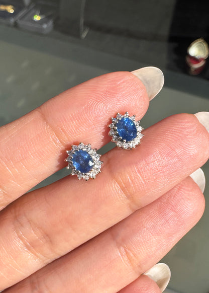 Blue Sapphire and Diamond Halo Oval Stud Earrings in 9 Carat Gold