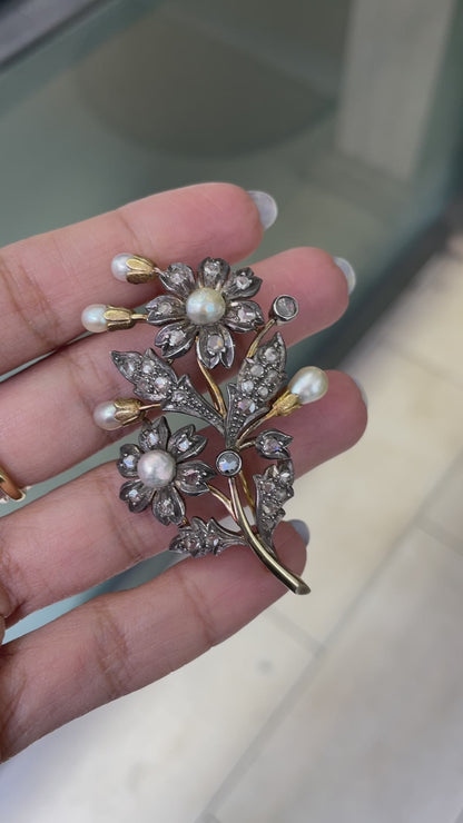 video of Antique Natural Pearl and Rose Cut Diamond Silver on Gold Floral brooch, c1870's